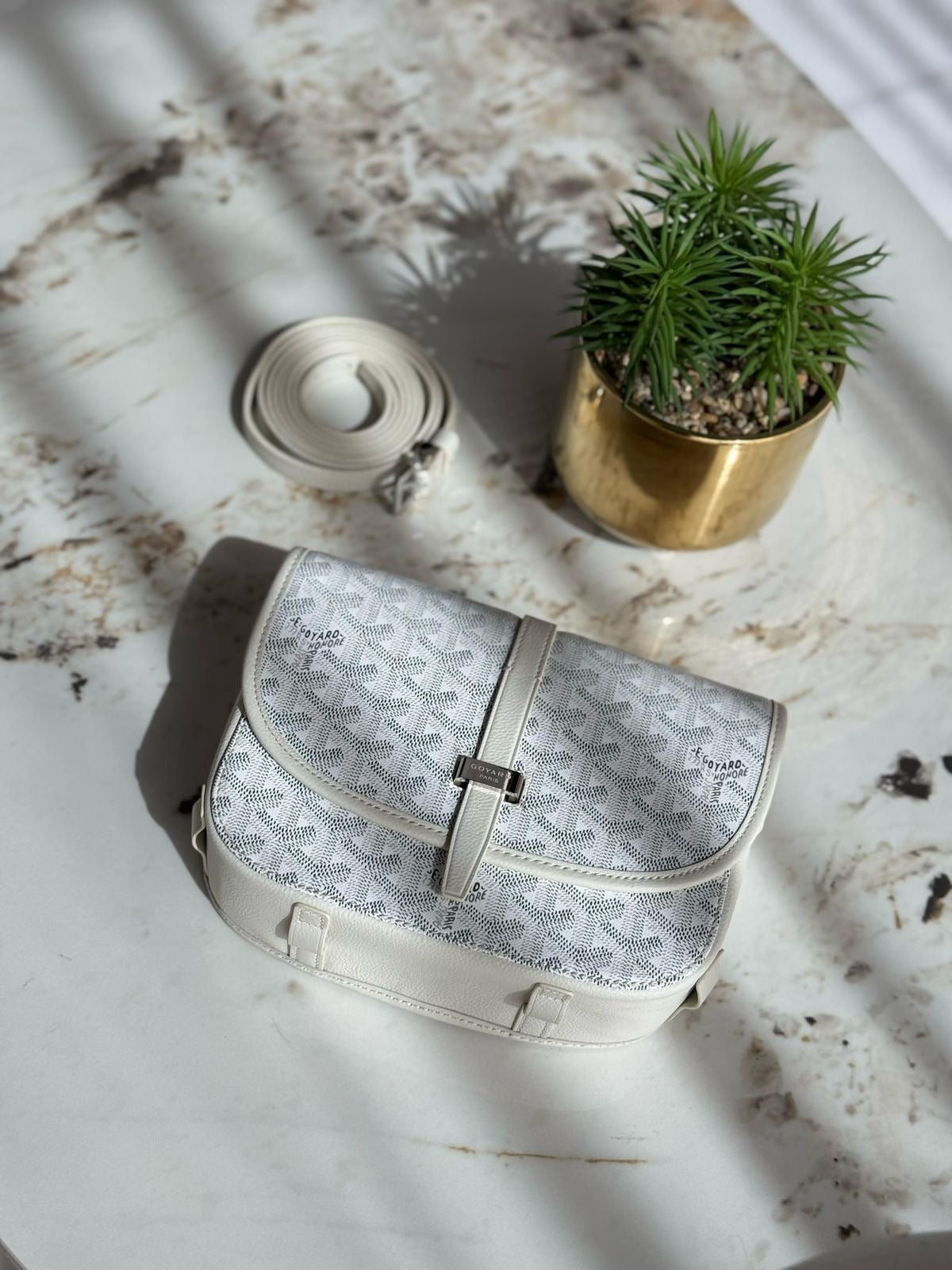 Goyard Belvedere PM White