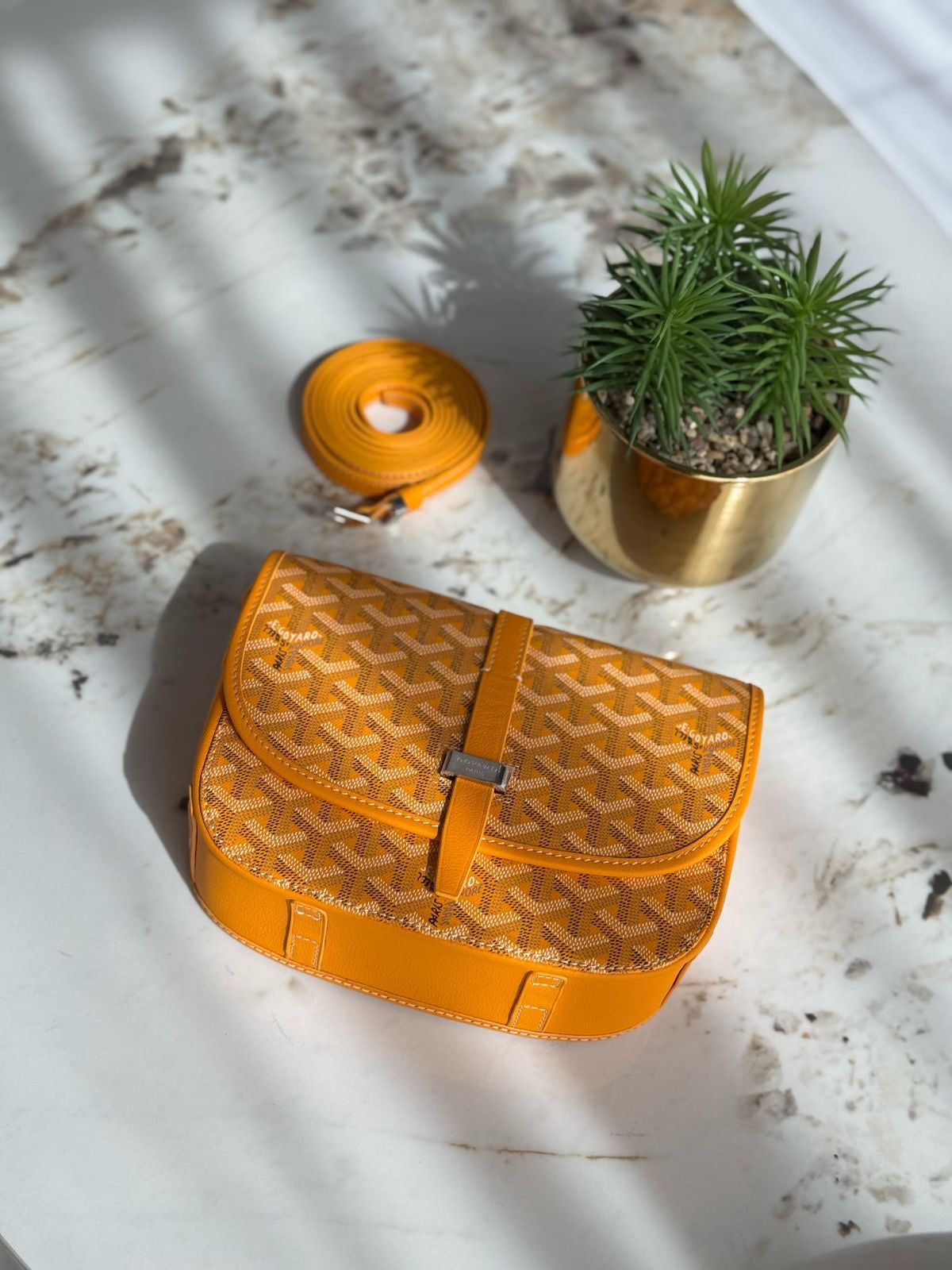 Goyard Belvedere PM Yellow