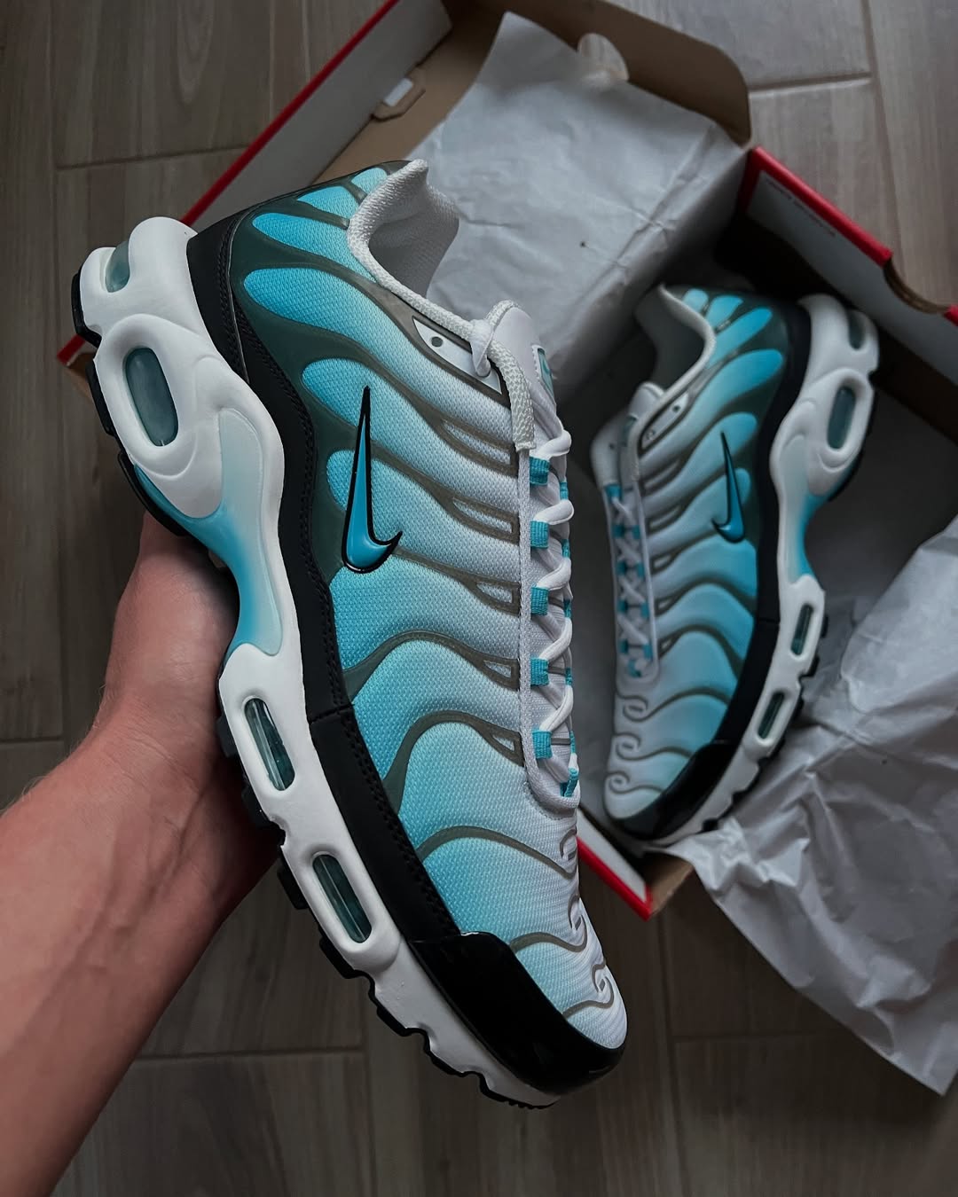 Air Max Plus “Baltic Blue”
