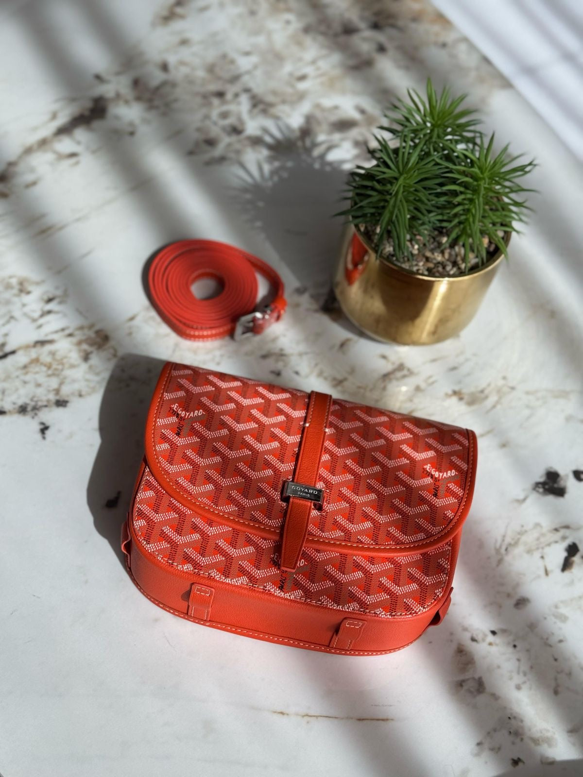 Goyard Belvedere PM Red