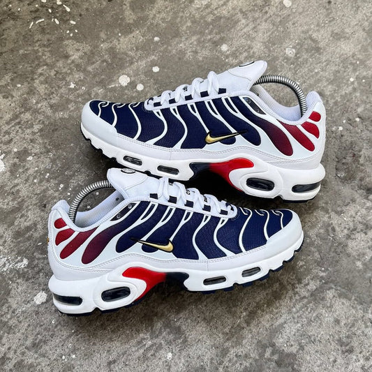Air Max Plus x PSG
