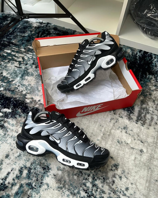 Air Max Plus “Metallic Grey”